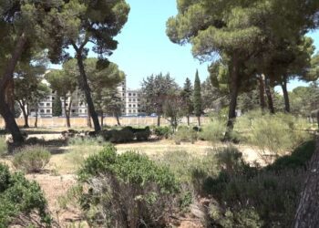 Interno Parco Giustizia
