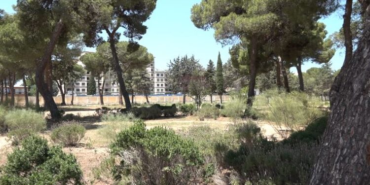 Interno Parco Giustizia