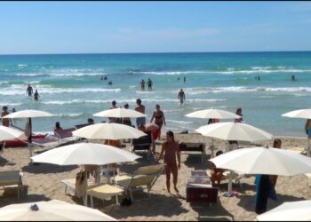 Le Vacanze Dei Baresi, In Agenzia Per Viaggiare All’estero Ma C’è Chi Sceglie Di Riscoprire Bari – Video