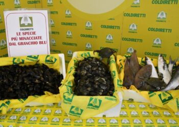 Pesce Minacciato