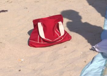 Borsa Incustodita