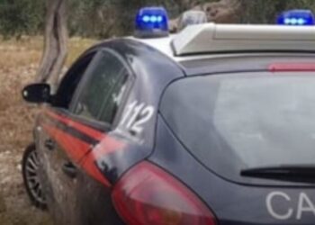 Carabinieri Campagna