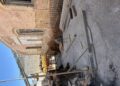 Image 67202305