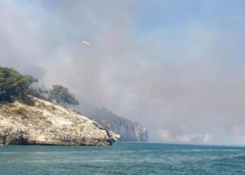 Incendio Bosco Vieste