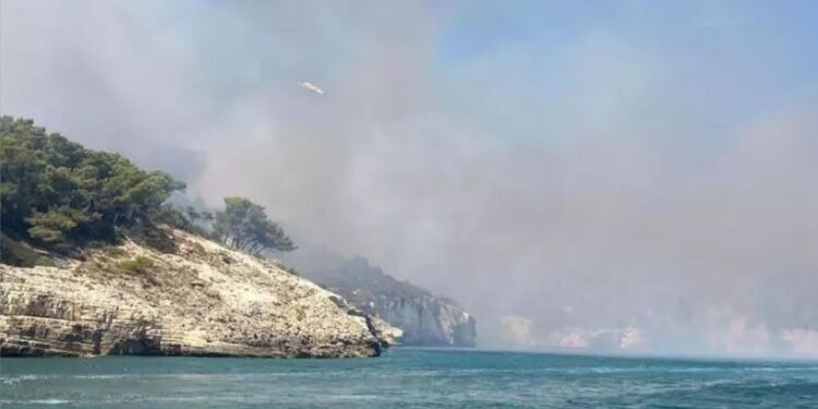 Incendio Bosco Vieste