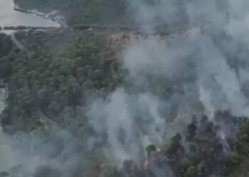 Incendio Vieste