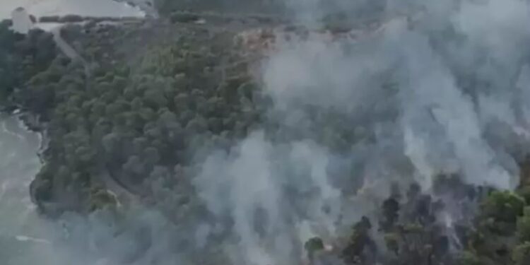 Incendio Vieste