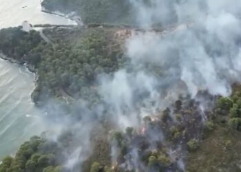 Incendio Vieste
