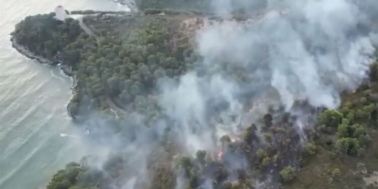 Incendio Vieste