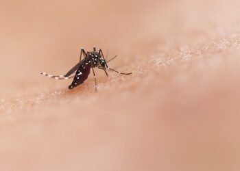 National Institute Of Allergy And Infectious Diseases Z2pq 4mj6bi Unsplash