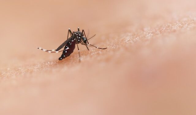 National Institute Of Allergy And Infectious Diseases Z2pq 4mj6bi Unsplash
