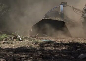 Nuovo San Paolo, Dopo Quindici Anni Ripulita Dalle Sterpaglie L’area Verde In Via Arturo Del Bianco – Video