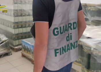 Olio Extravergine Contraffatto E Adulterato, Tre Laboratori Clandestini A Cerignola: Sequestrati 37mila Litri – Video