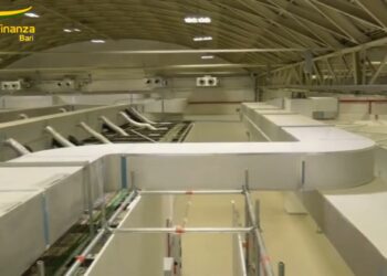 Ospedale Covid Finanza