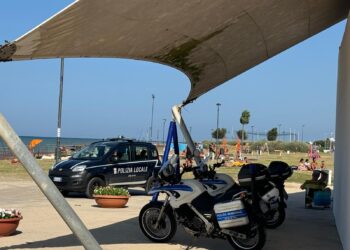 Polizia Locale Pane E Pomodoro