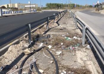 Rifiuti Abbandonati, Gomme Bruciate Ed Erbacce: Viaggio Nel Degrado Nella Zona Industriale Di Bari – Video
