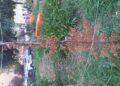 Ymail Tmp 5552199301017058293