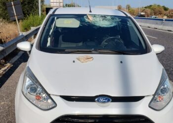 Anas incidente