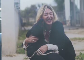 Animali Domestici, I Consigli Per Portarli In Vacanza: “occhio A Caldo E Vaccinazioni. Sabbia Rischiosa” – Video