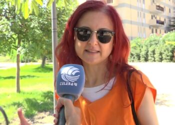 Antonella E Gli Altri ‘gattari Di Professione’, La Missione: “così Ci Occupiamo Dei Gatti Di Bari” – Video