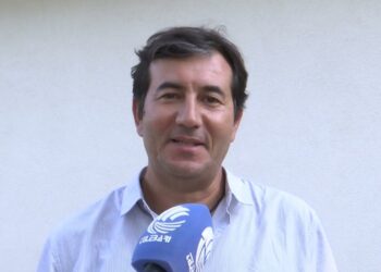 Bari, Veterinaria Conquista Il 36esimo Posto Al Mondo Per La Ricerca: è Lo ‘shanghai Ranking’