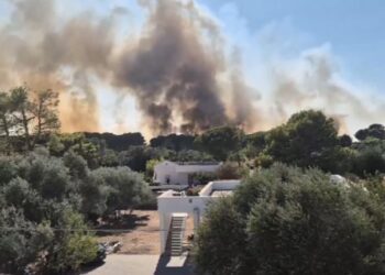 Incendio Lido Silvana