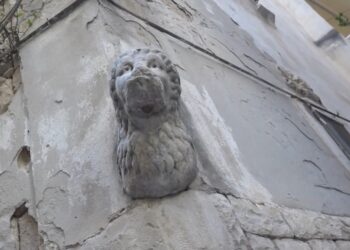 Leone Bari Vecchia