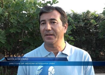 Nicola Decaro