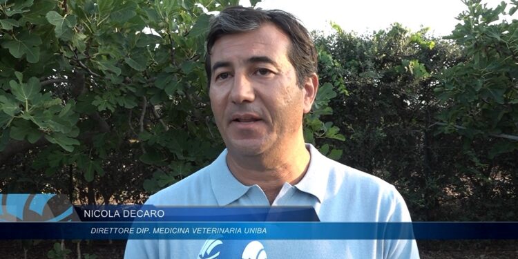 Nicola Decaro
