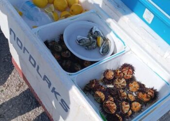 Pesce Crudo Sequestrato