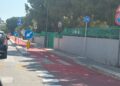 Pista Ciclabile (6)