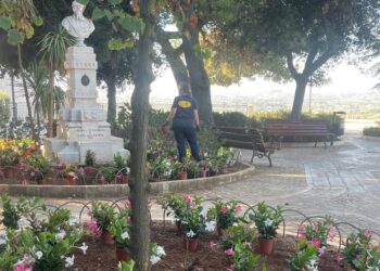 Villa Comunale Locorotondo 3