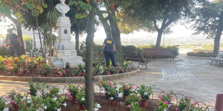 Villa Comunale Locorotondo 3