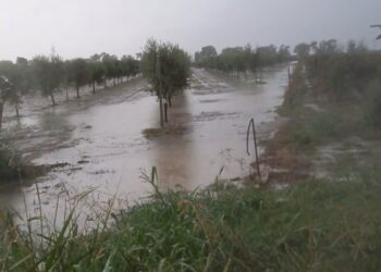 Primo Bilancio Violenta Ondata Di Maltempo In Provincia Di Brindisi