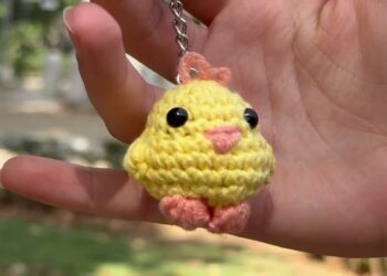 Bari, Dai Gomitoli Di Lana Nascono Animaletti A Maglia: Sono Gli ‘amigurumi’ Di Silvia Gissi – Video