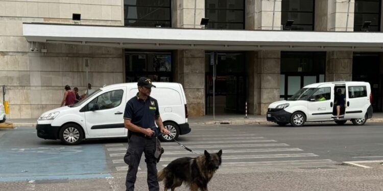 Cani Antidroga