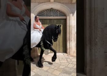 Casamassima, La Sposa Arriva A Cavallo: “insegno Equitazione. Sorpresa Per Gli Invitati” – Video