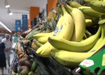 Supermercato Dok