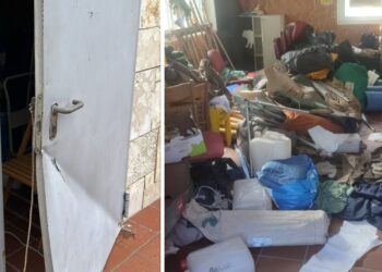 Vandali Scout