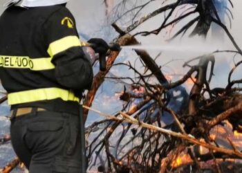 Vicili Del Fuoco Incendio Bosco Foresta