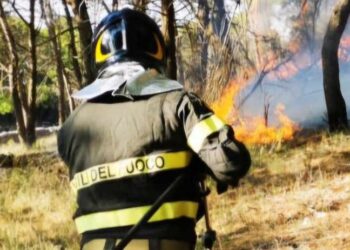 Vigili Del Fuoco Incendio Bosco