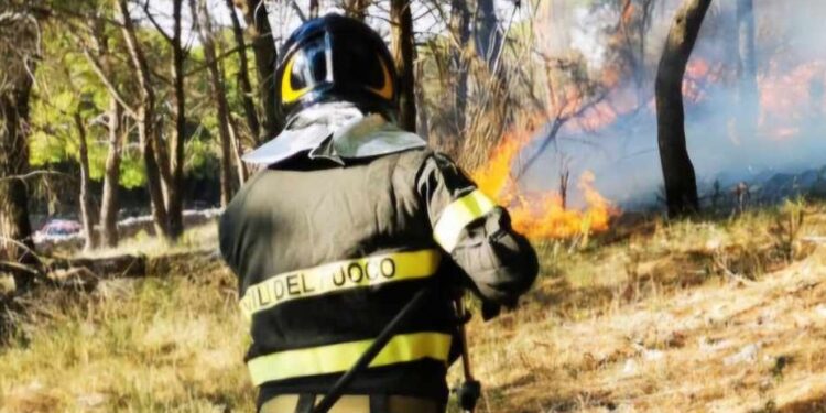 Vigili Del Fuoco Incendio Bosco