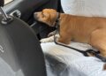 Img 3479