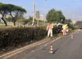 Img 3612