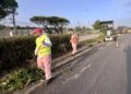 Img 3613