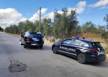 polizia locale