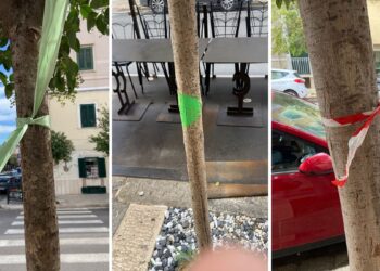 Alberi Monopoli