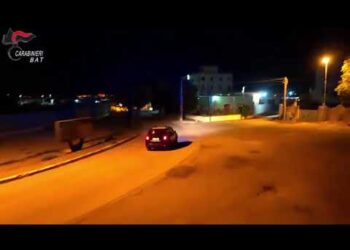 Armi, Rapina E Tentata Estorsione: Maxi Blitz Antidroga Nel Nord Barese – Video