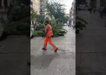 Bari, Camion Spezza Ramo Albero In Corso Mazzini: La Polizia Locale Rintraccia Il Conducente – Video