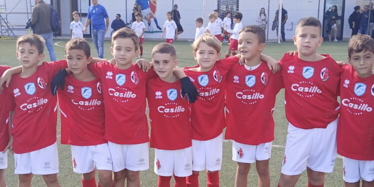 Bari Generation